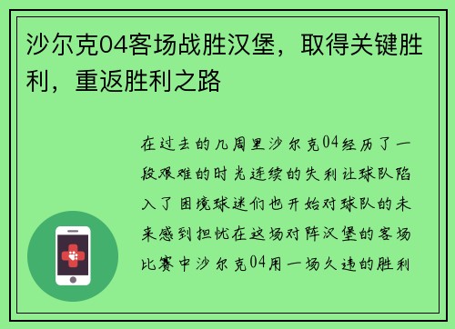 沙尔克04客场战胜汉堡，取得关键胜利，重返胜利之路