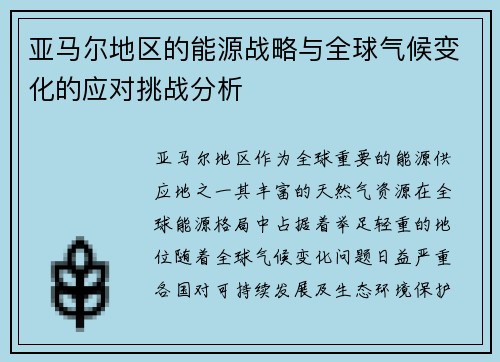 亚马尔地区的能源战略与全球气候变化的应对挑战分析